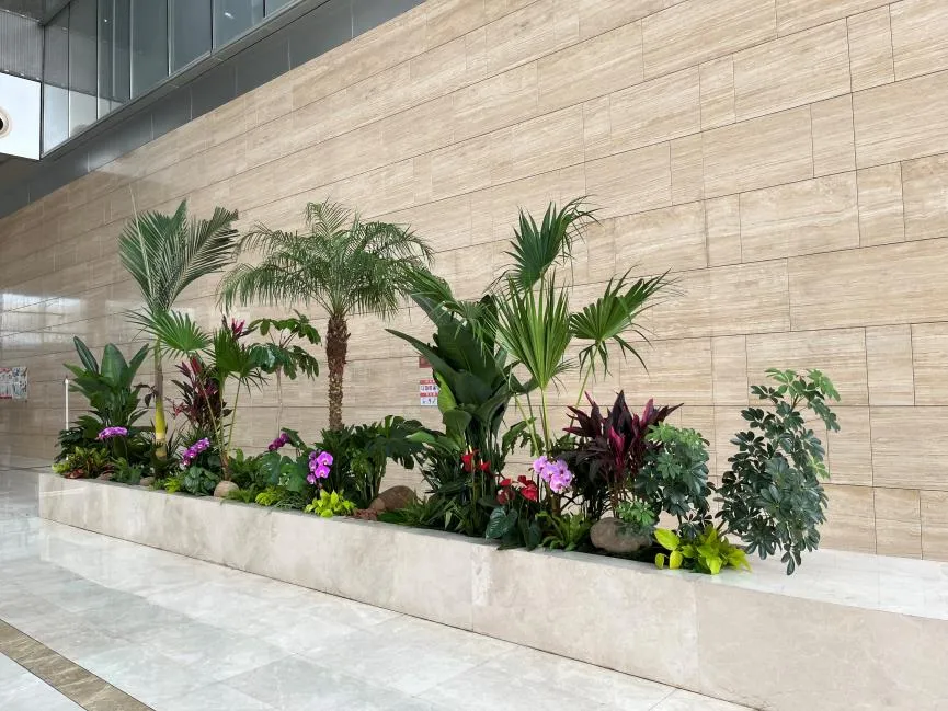 超赞！宁波江北绿化养护服务，品质超乎想象！亡